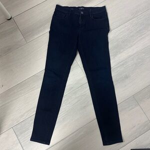 LOFT Women's Navy Skinny Jeans